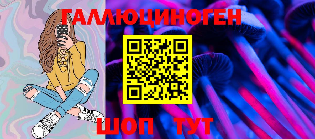 Псилоцибиновые грибы мицелий  Псилоцибиновые грибы Cubensis  купить  сайты  Михайловск  Вход с VPN 